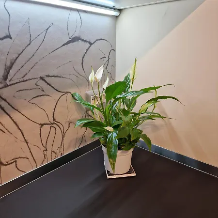 Apartament Corso Vittorio 364